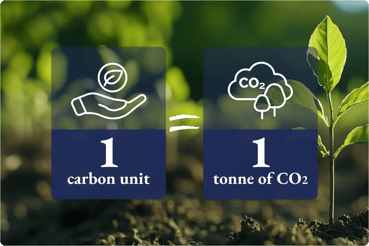 services & products_carbon units_restoring the environment_EN