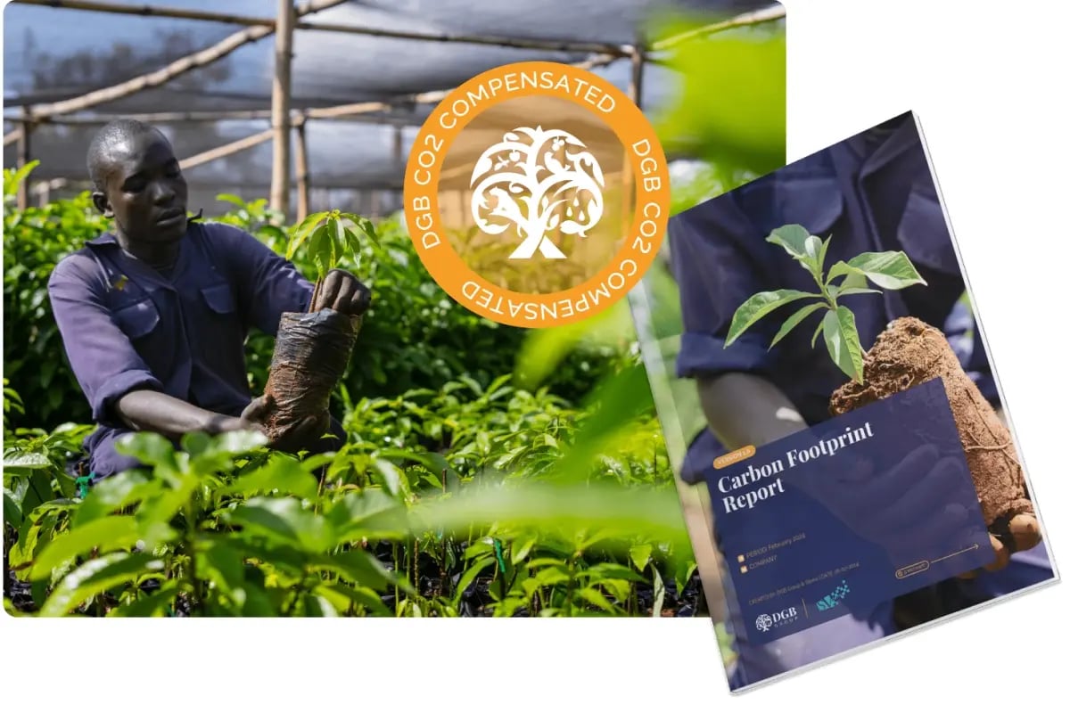 services & products_environmental footprint_global shift