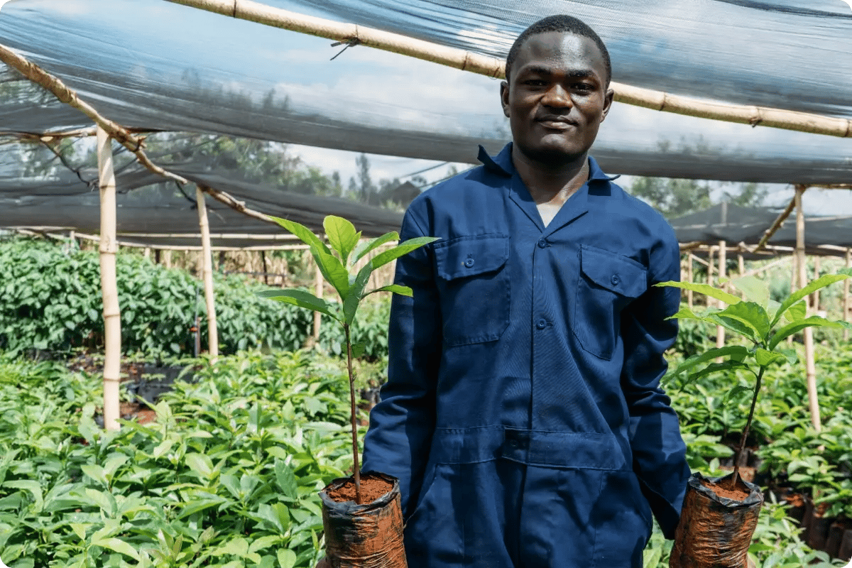 services & products_tree planting for business_growing legacies