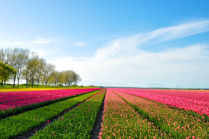 The Netherlands