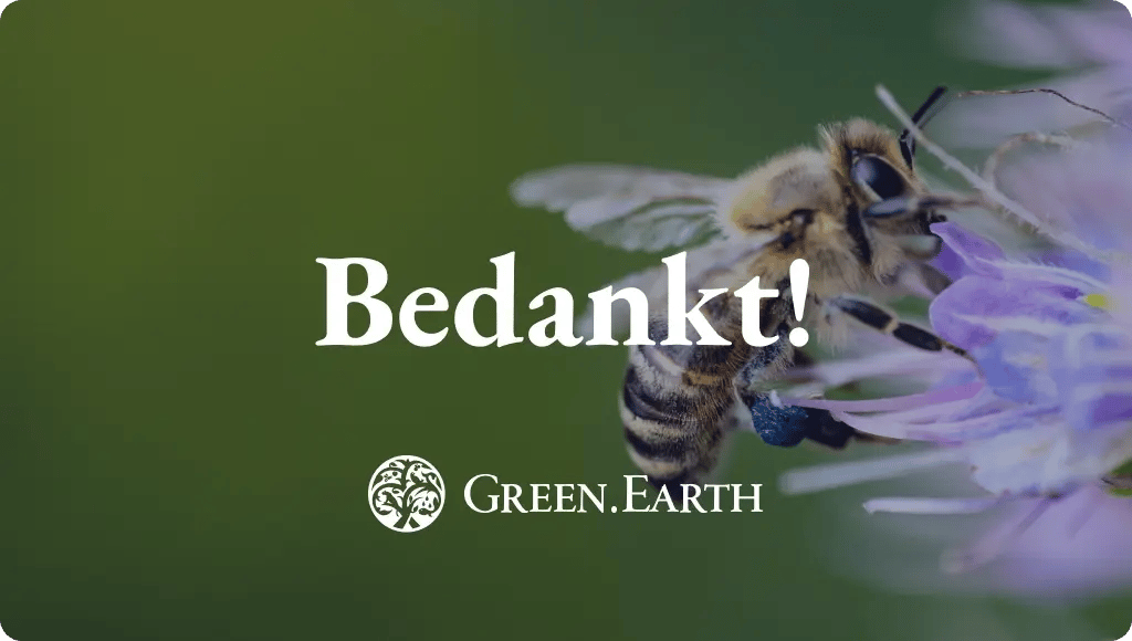 thank you_biodiversity credits brochure_main image_NL-2