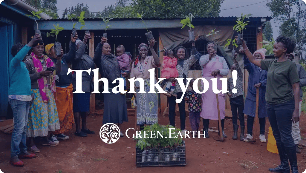 thank you_contact us_main image_EN-1