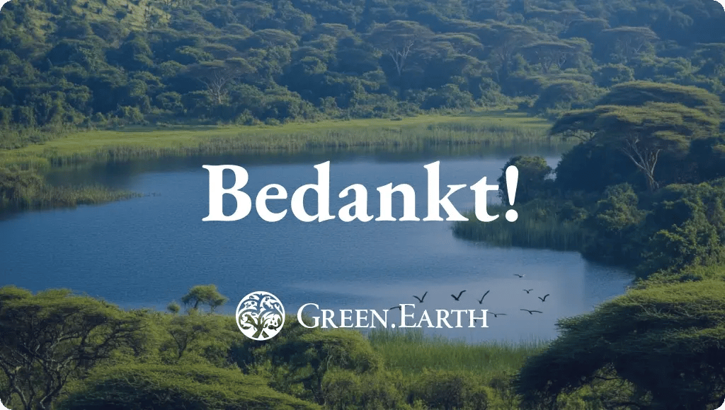 thank you_ebooks download_main image_NL-1