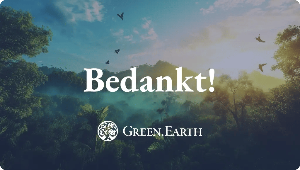thank you_newsletter subscription_main image_NL (1)