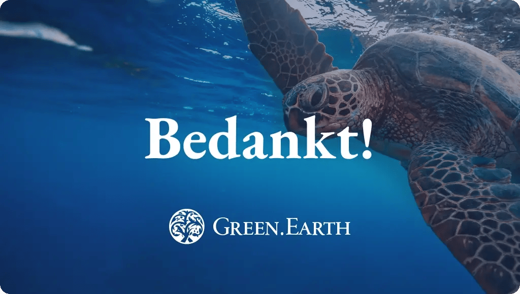 thank you_plastic credits brochure_main image_NL-2