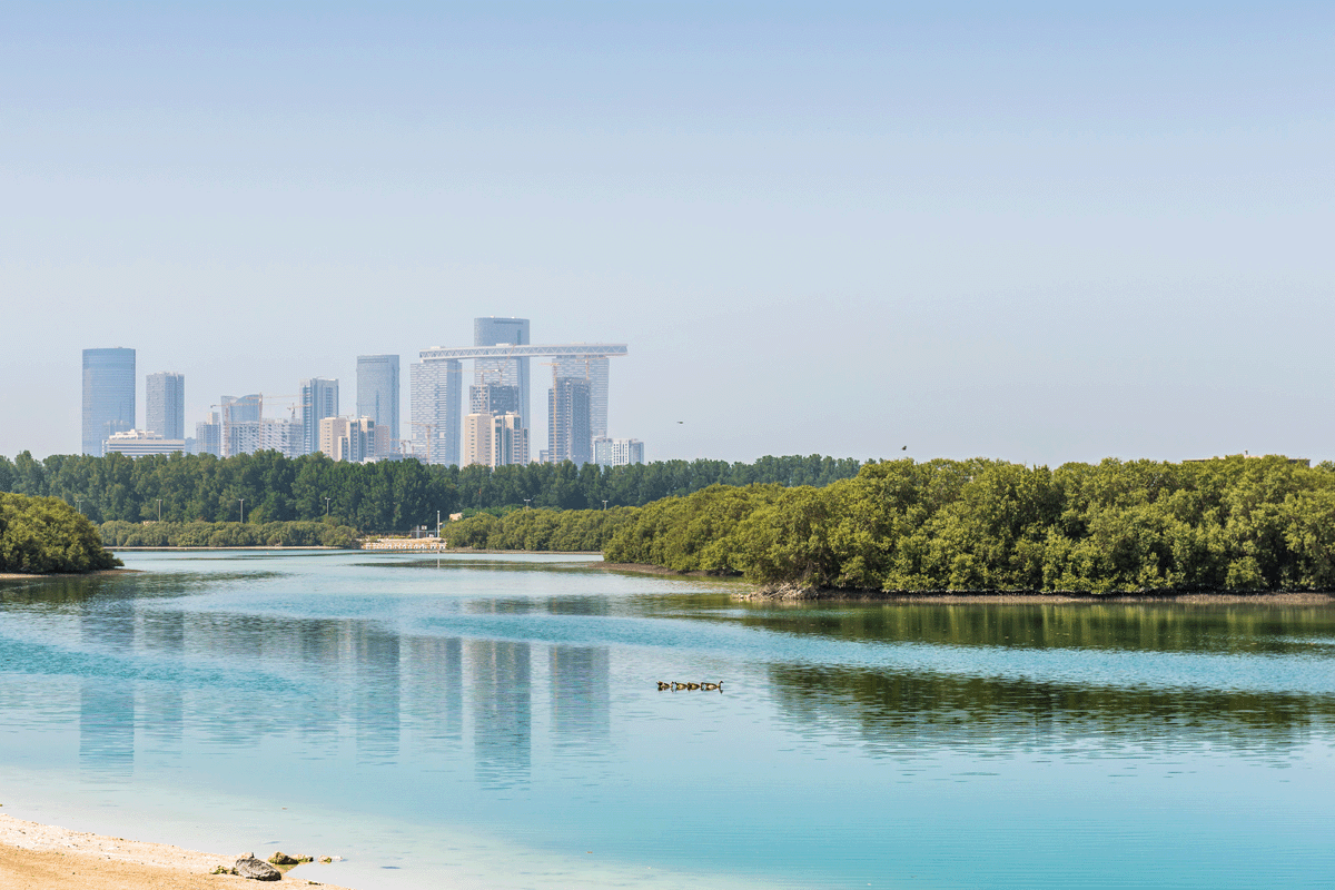 Abu Dhabi National Oil pledges $15 billion decarbonisation investment
