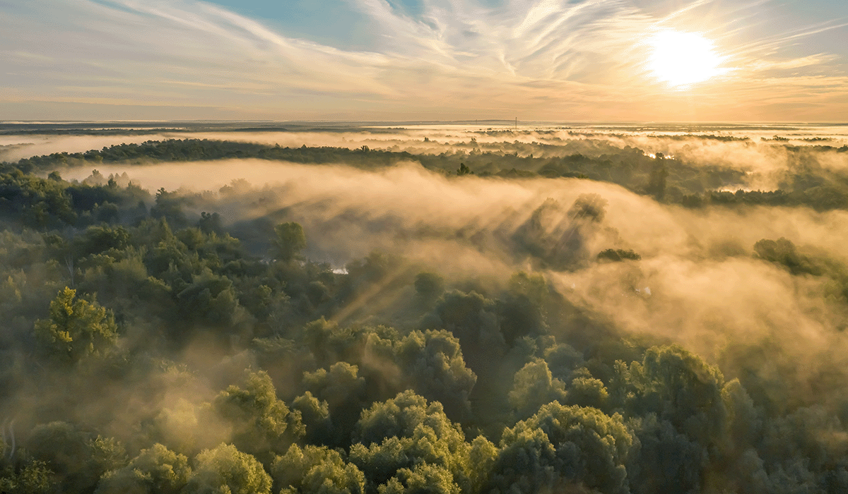 Carbon removal industry gets major boost with launch of Counteract VC Fund