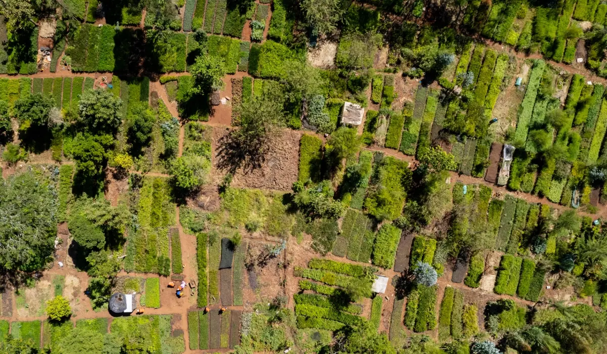 Technisch directeur Green Earth vergroot aandelenbelang naar 5%