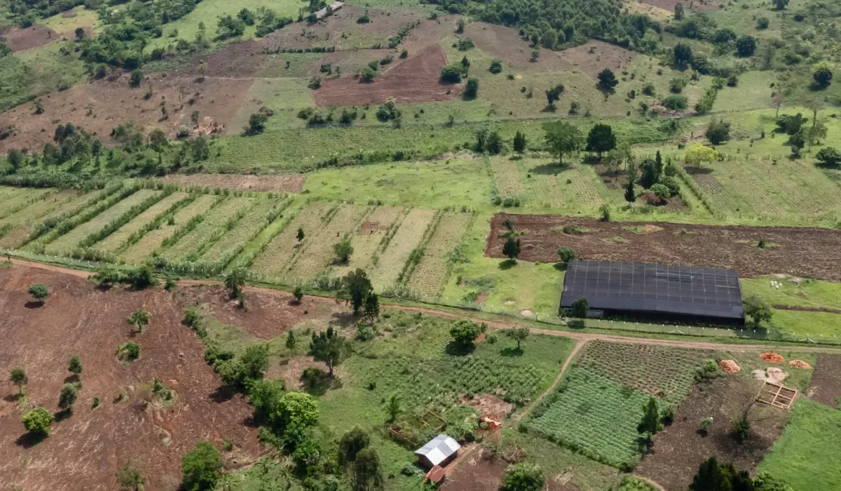 The Bulindi project expands its reach across Western Uganda