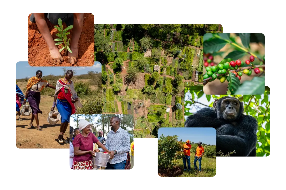 040626_Best Carbon Credit Providers for Enterprises in 2026_visual 2