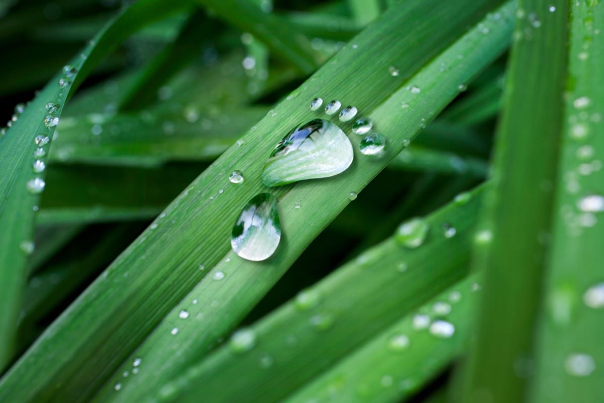 How to reduce your carbon footprint
