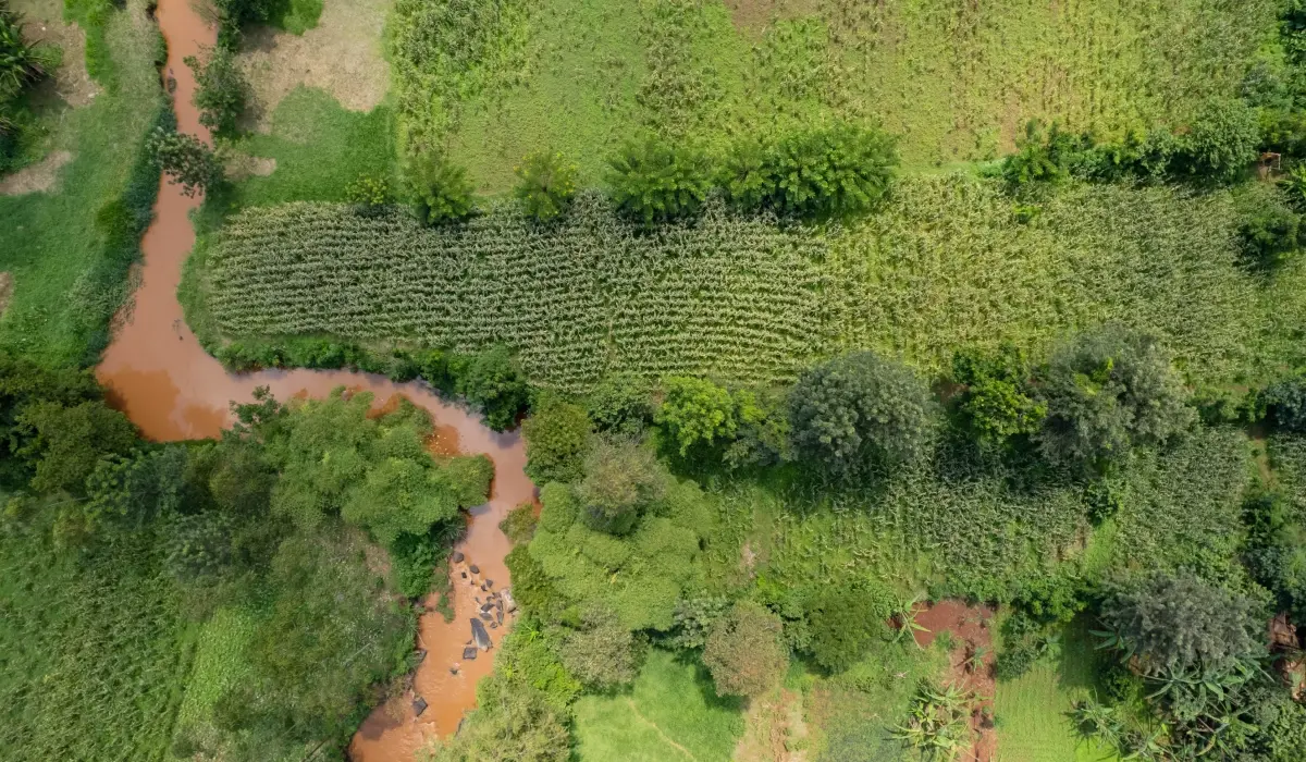 Planning a food forest: the foundations for long-term carbon integrity in Kenya