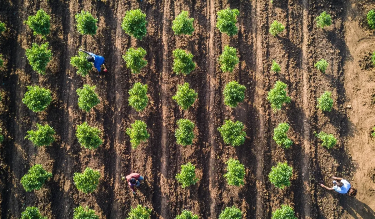 Branche roept overheden op de vrijwillige CO₂-markten te versterken