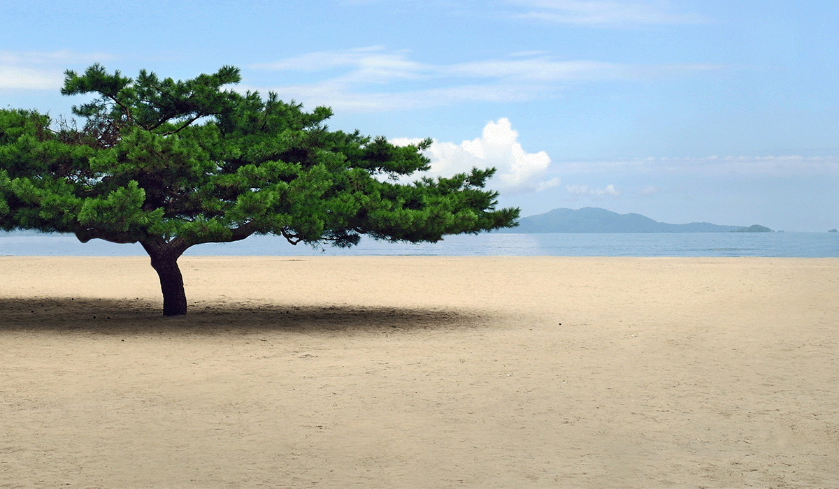 North Korea's deforestation and its effects on food security
