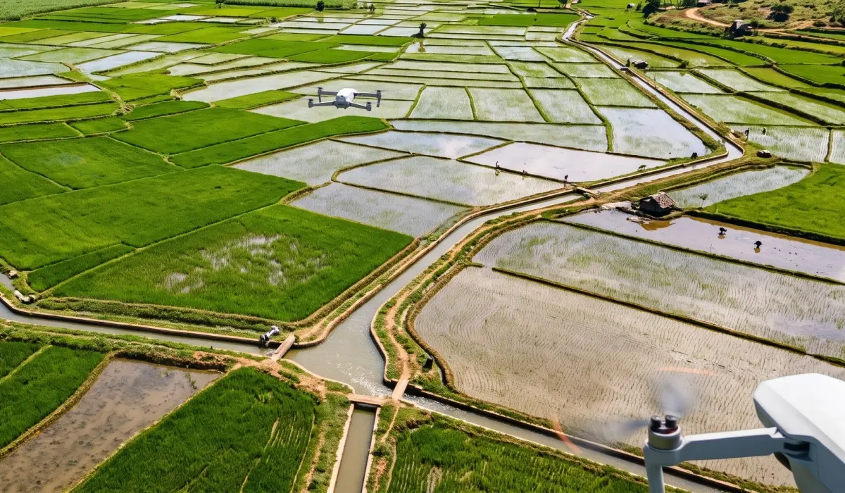 Google signs its largest rice methane credit deal