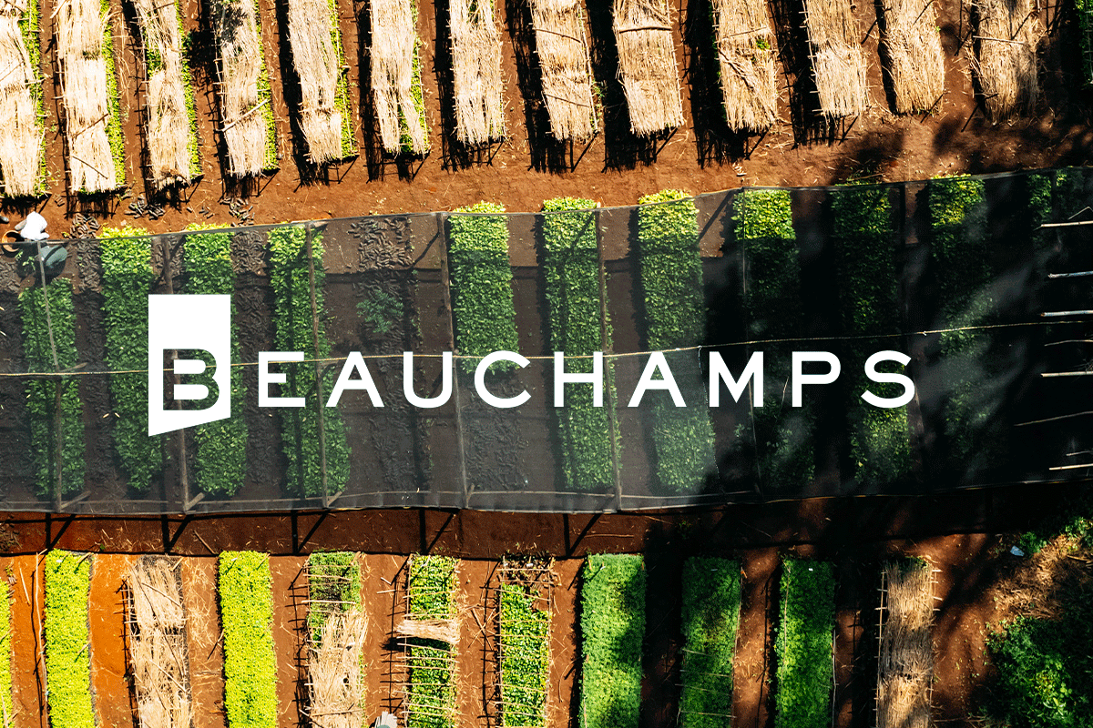 Driving sustainability: How Beauchamps LLP leads with purpose in the legal industry