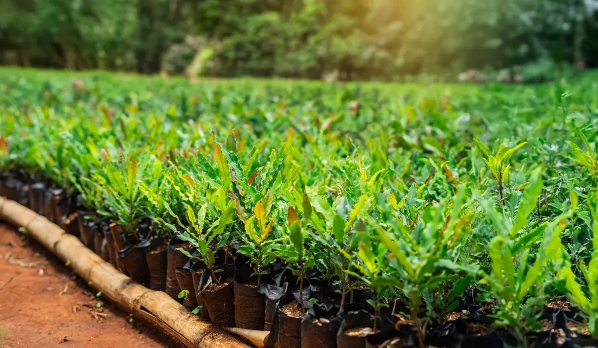 Green Earth signs €1+ million sales agreement with an international buyer