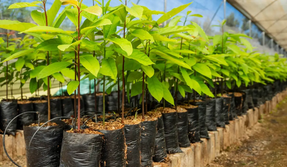 Green Earth roept BAVA bijeen om natuur en milieu formeel in de statuten te verankeren