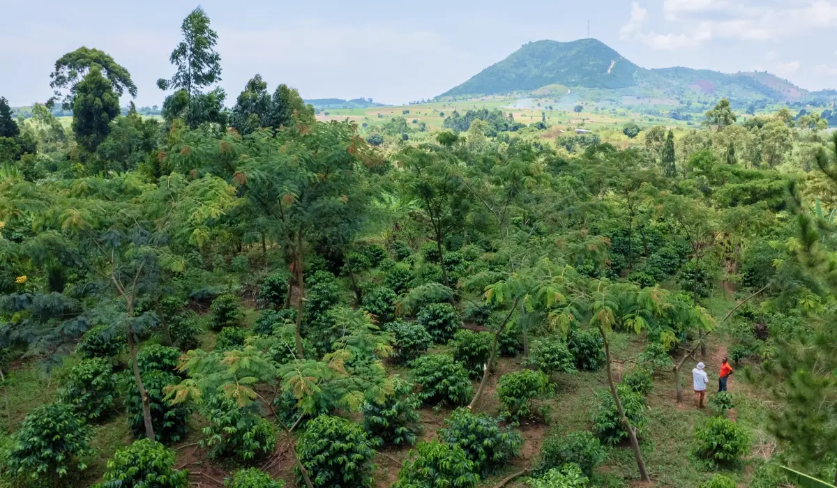 Green Earth publiceert halfjaarverslag 2026 