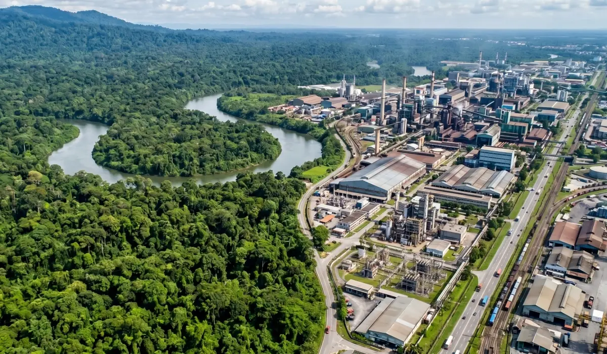 Retirements accelerate across the carbon market in multiple segments