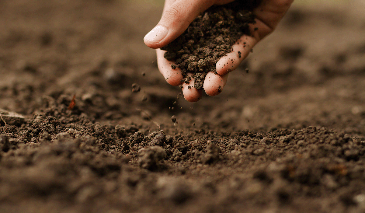 Boosting soil carbon capture