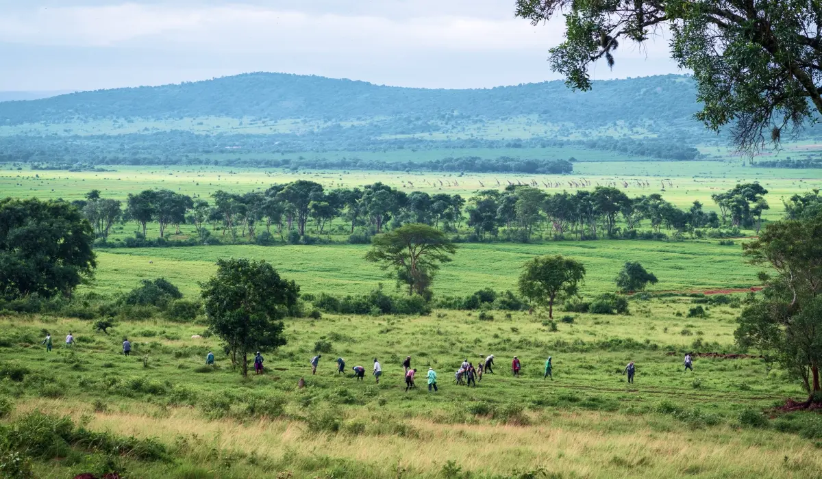Kenya reframes nature as an economic asset with a new finance initiative 