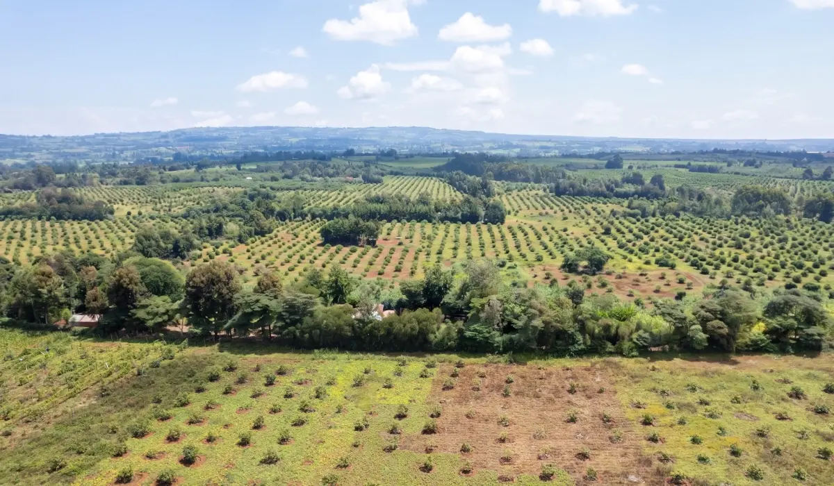 Green Earth publishes audited 2025 annual report and convenes AGM