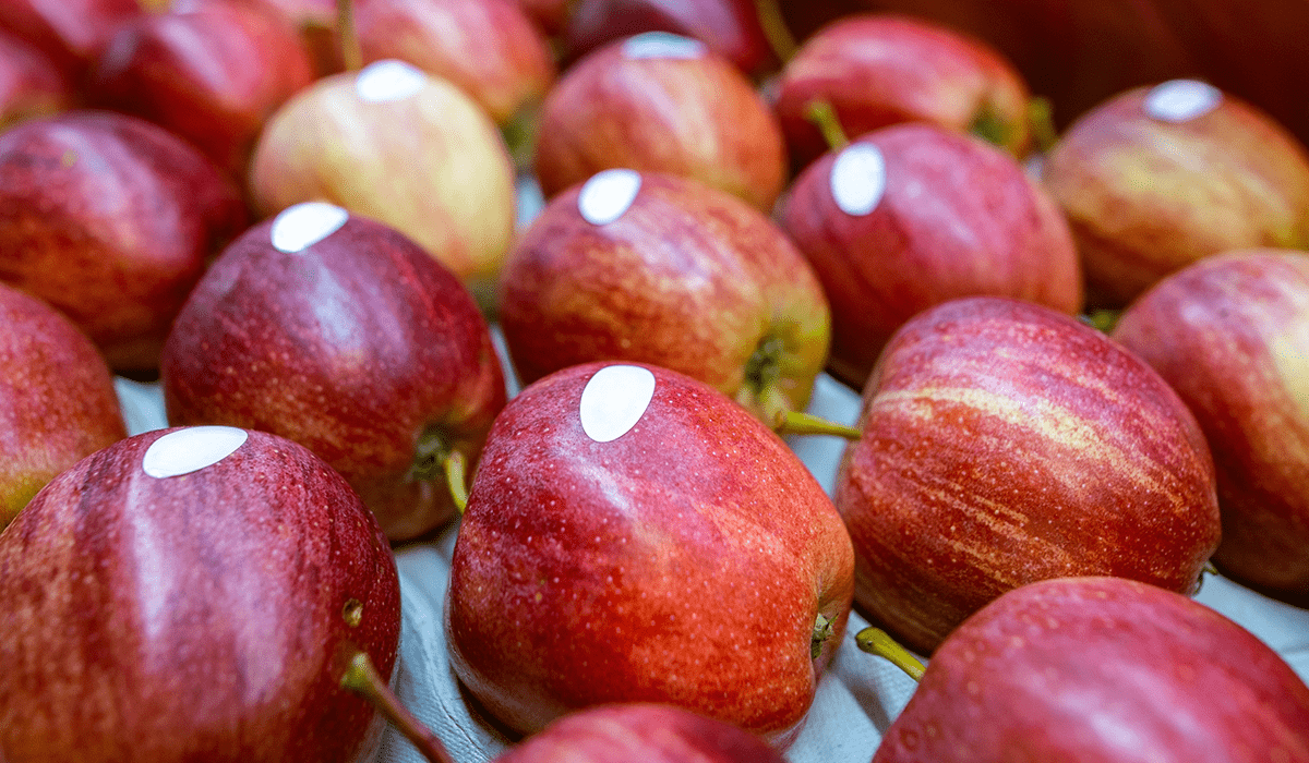 redm apple