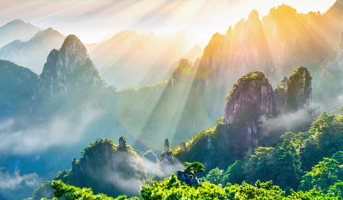 Alibaba reports a significant carbon emissions reduction in its race to net zero