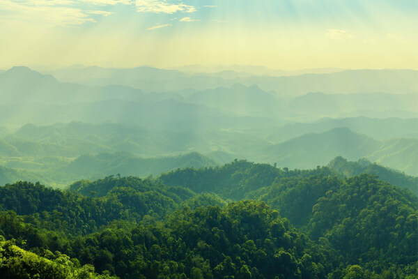 shutterstock_1384588922 (1)