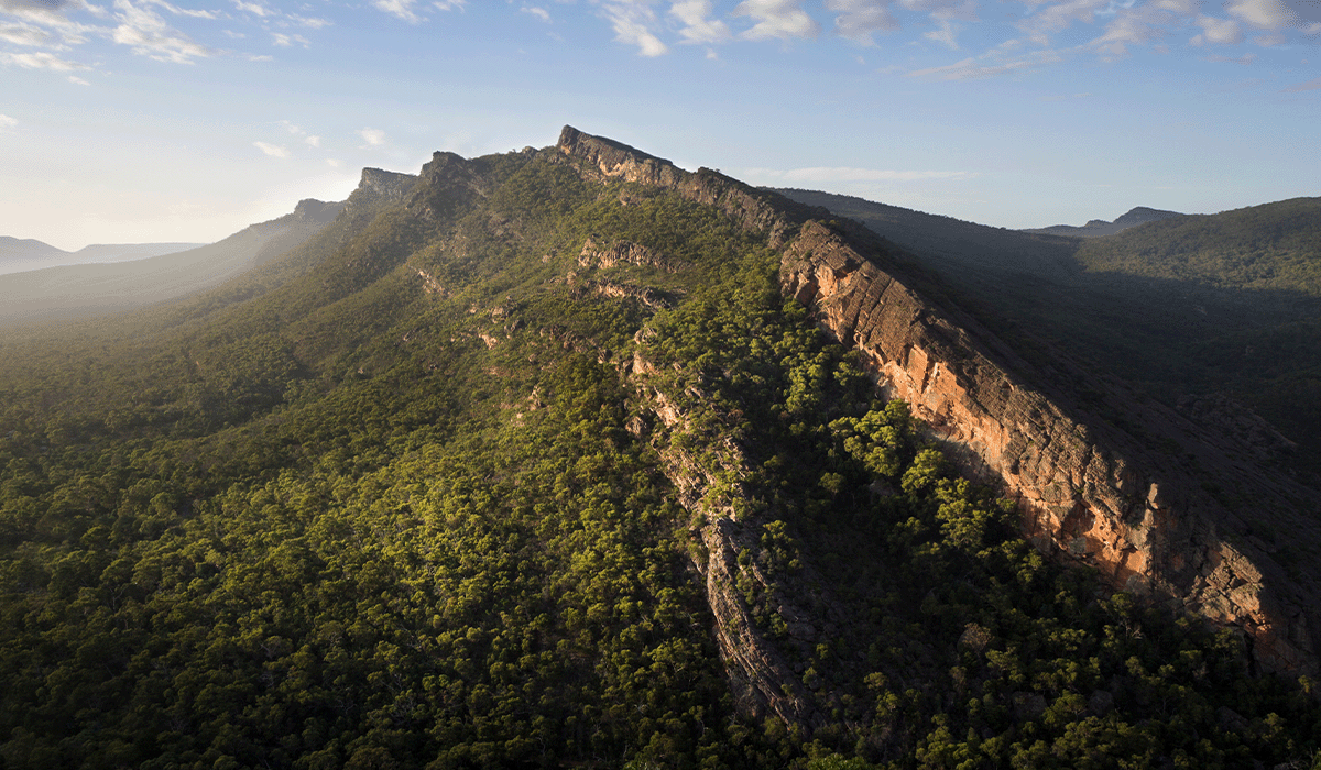 Australia's first soil carbon project approved by the Clean Energy Regulator