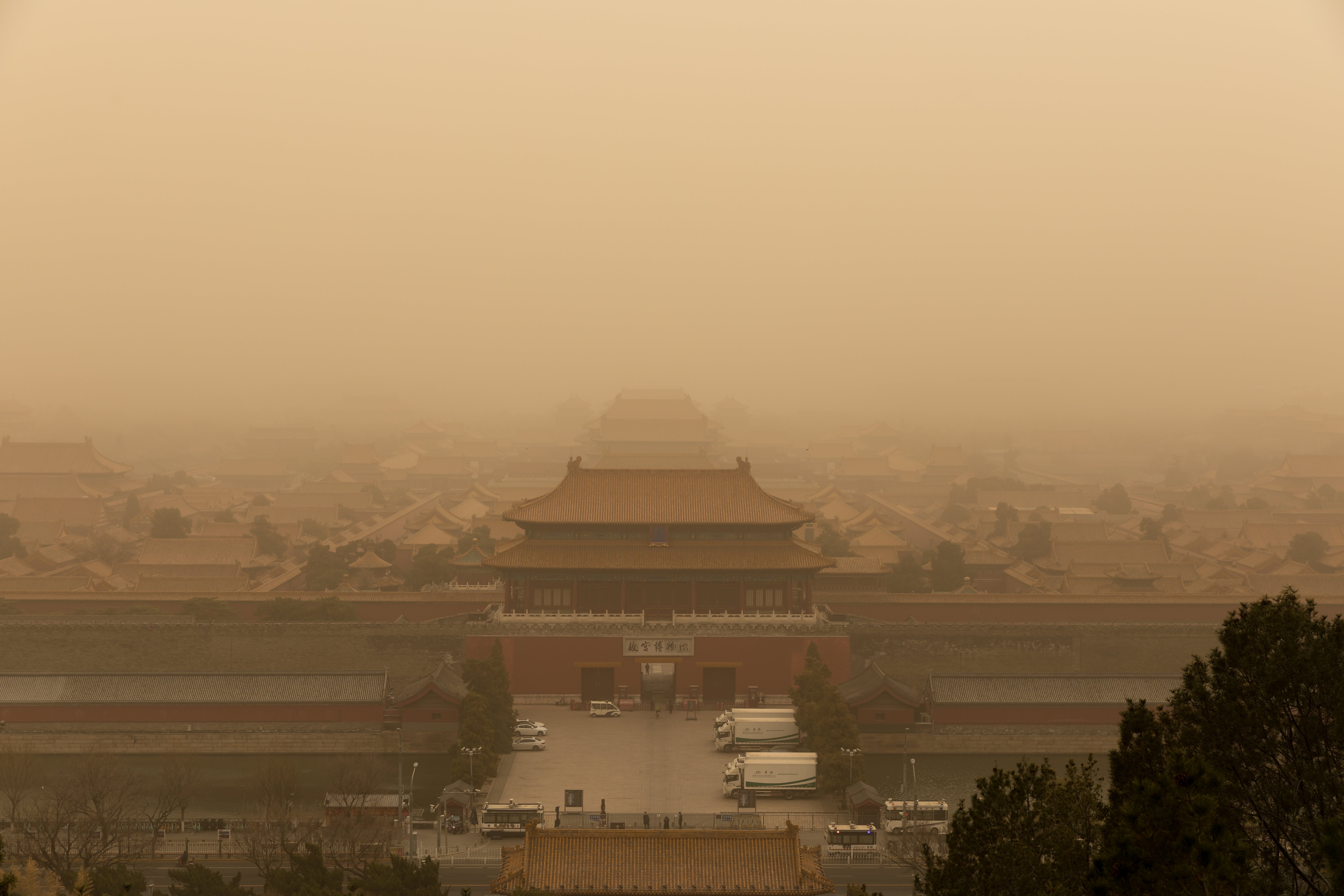 Countering desertification of the Gobi