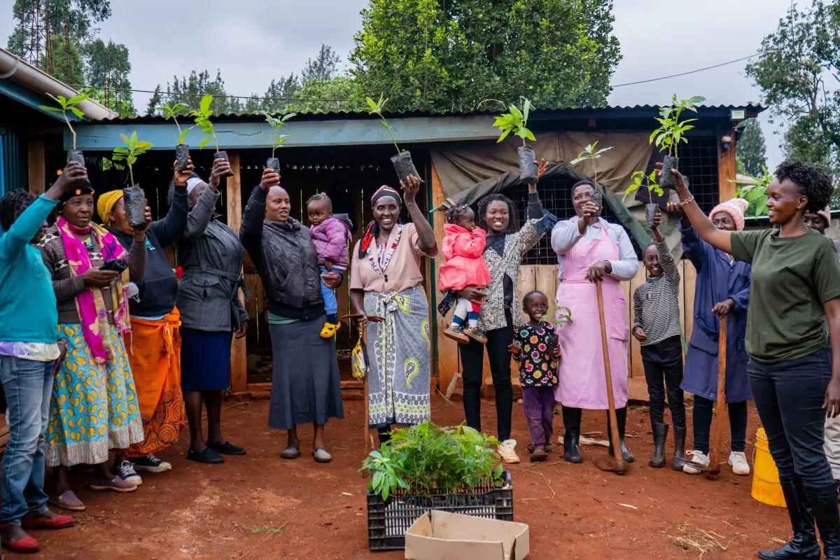 Carbon credit investing