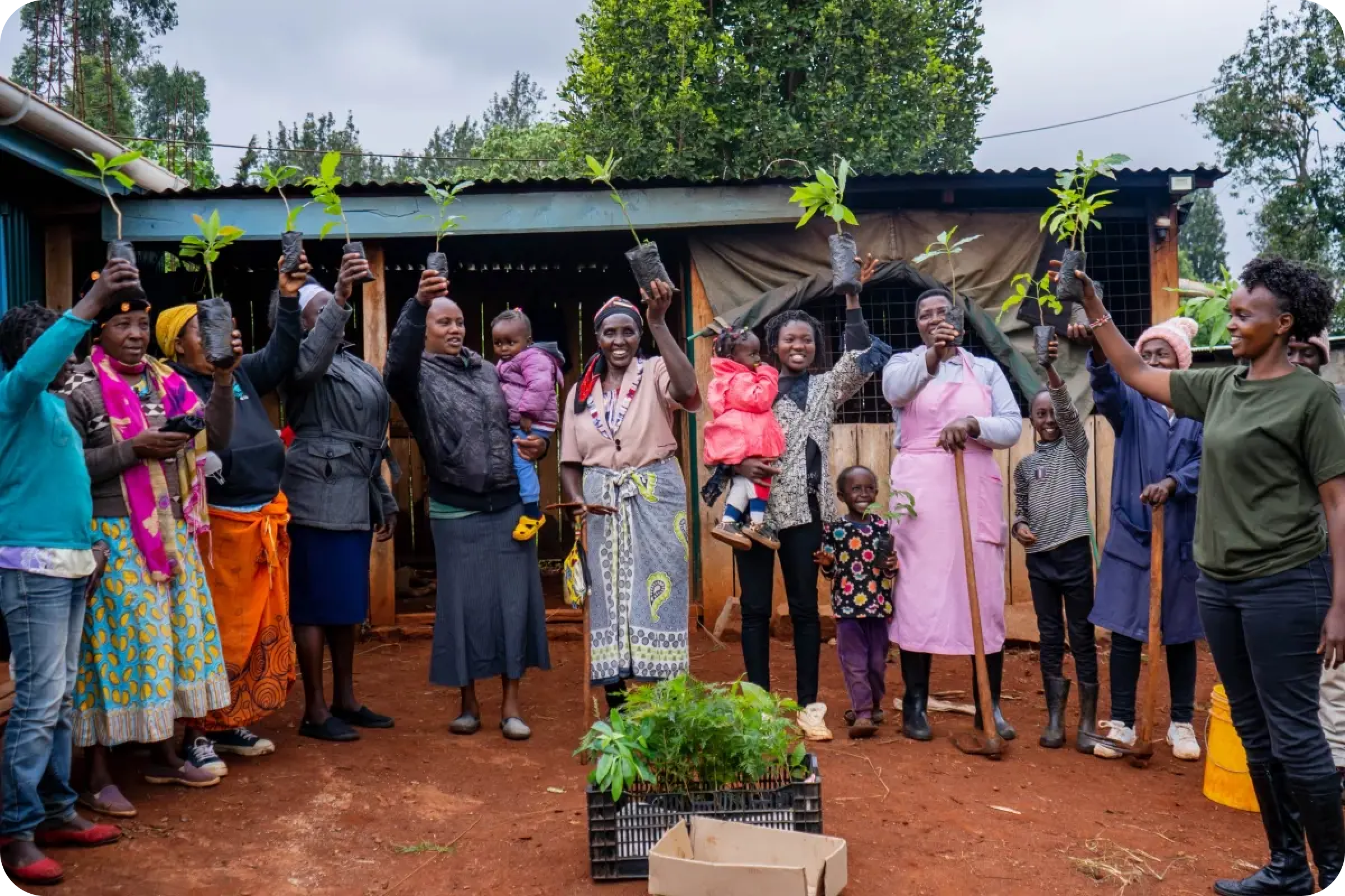Carbon credit investing