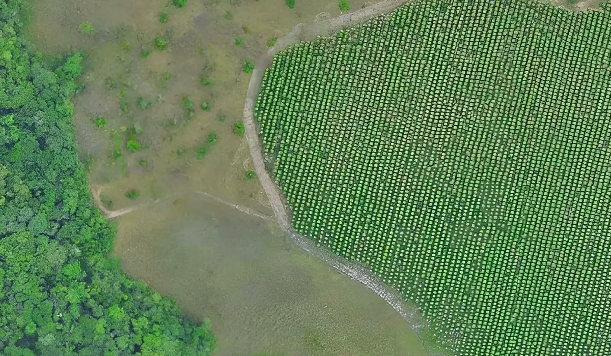 Grootste CO₂-project van Colombia ontvangt investering van $100 mln