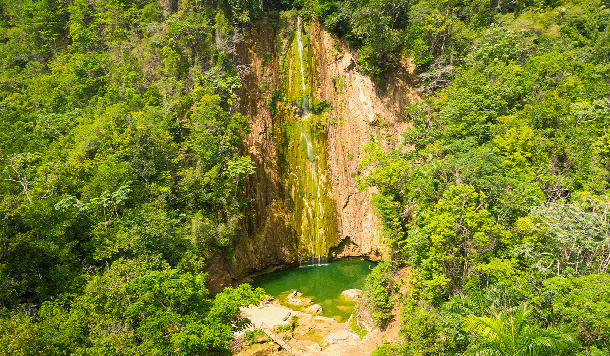 Dominican Republic receives $6 million boost in carbon credits from the World Bank