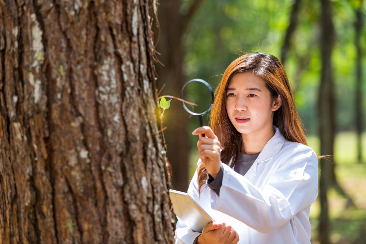 nature restoration conservation