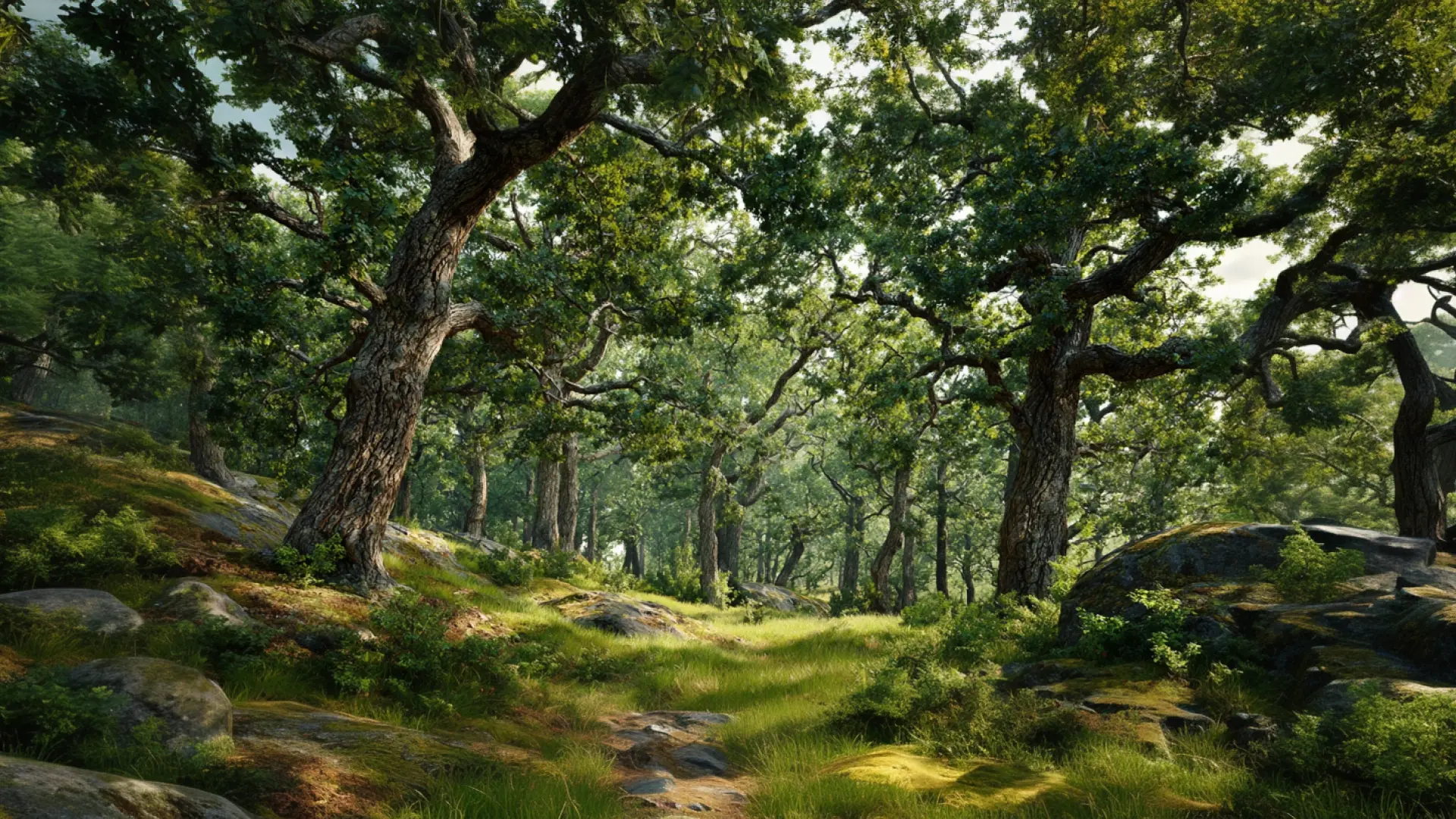 We often assume sustainability is a modern invention, but history is full of long-term environmental thinking... Even when the original plans didn't pan out as expected. In this episode, we explore the fascinating story of Sweden's Visingsö Oak Forest, where the Swedish Navy planted over 300,000 oak trees two centuries ago to secure timber for future ships. However, things didn't go exactly as planned. Listen to this episode to hear the full story.