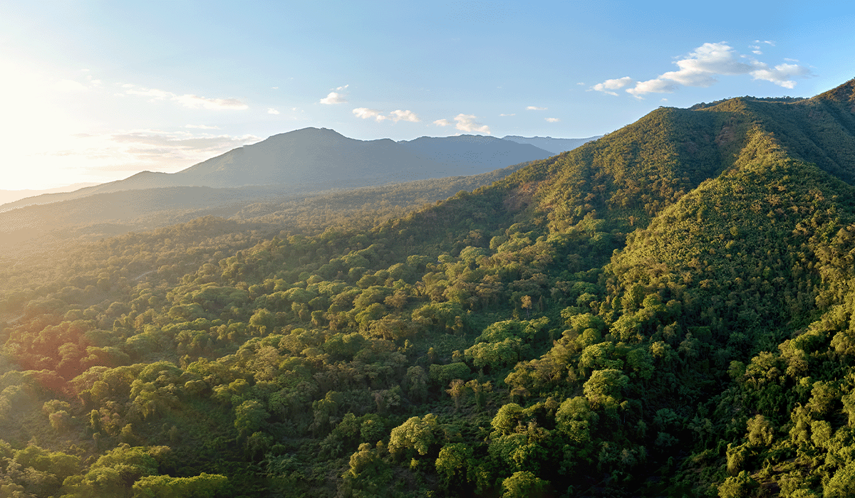 Gold Standard's role in climate action and sustainable development reaffirmed in independent report