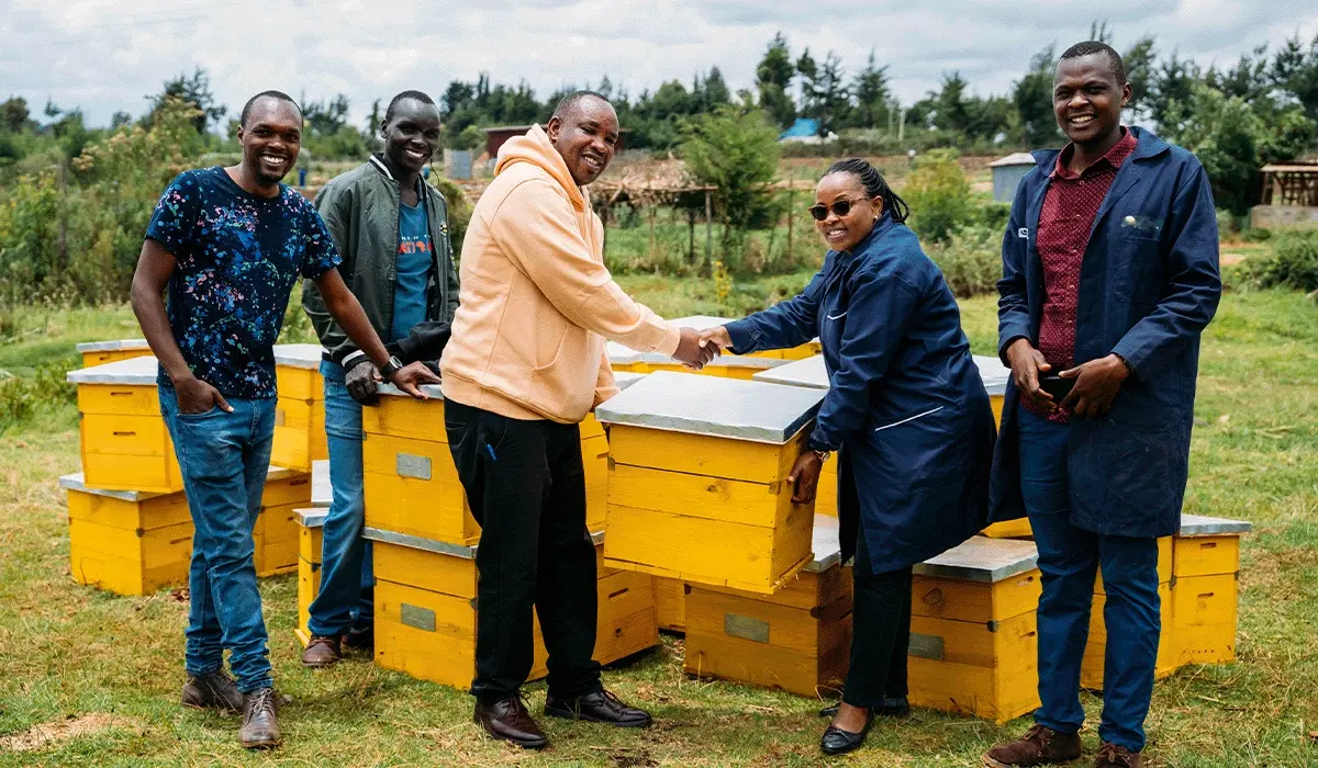 Discover how the thriving Kenya Beehive Project boosts biodiversity and farmer incomes through sustainable beekeeping and monthly hive distributions.