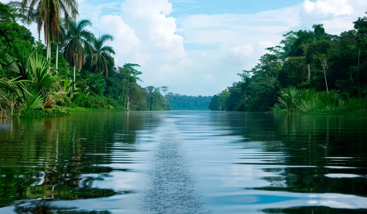 Nigeria en Zuid-Afrika smeden strategisch partnerschap voor de CO₂-markt