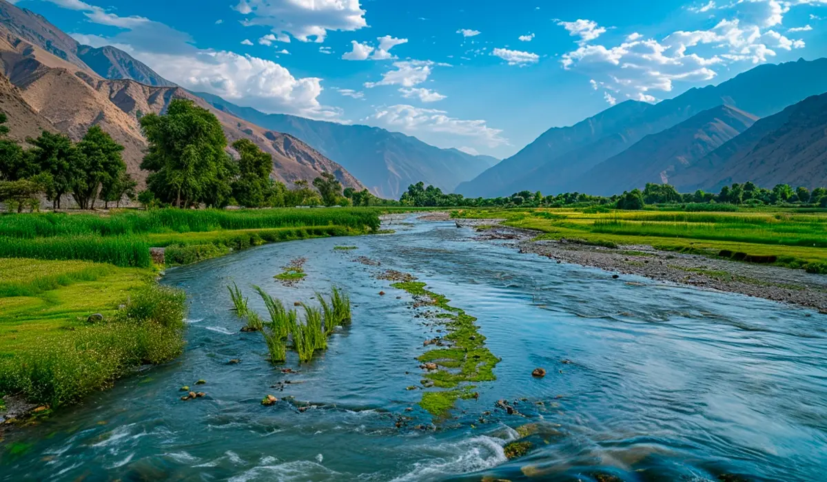 Pakistan zet stap vooruit in Artikel 6 met goedkeuringen CO₂-projecten