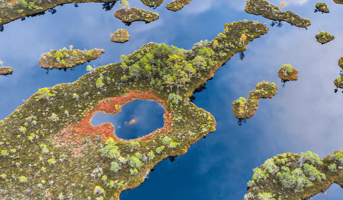 Peatland restoration: Why it's crucial and how to pay for it