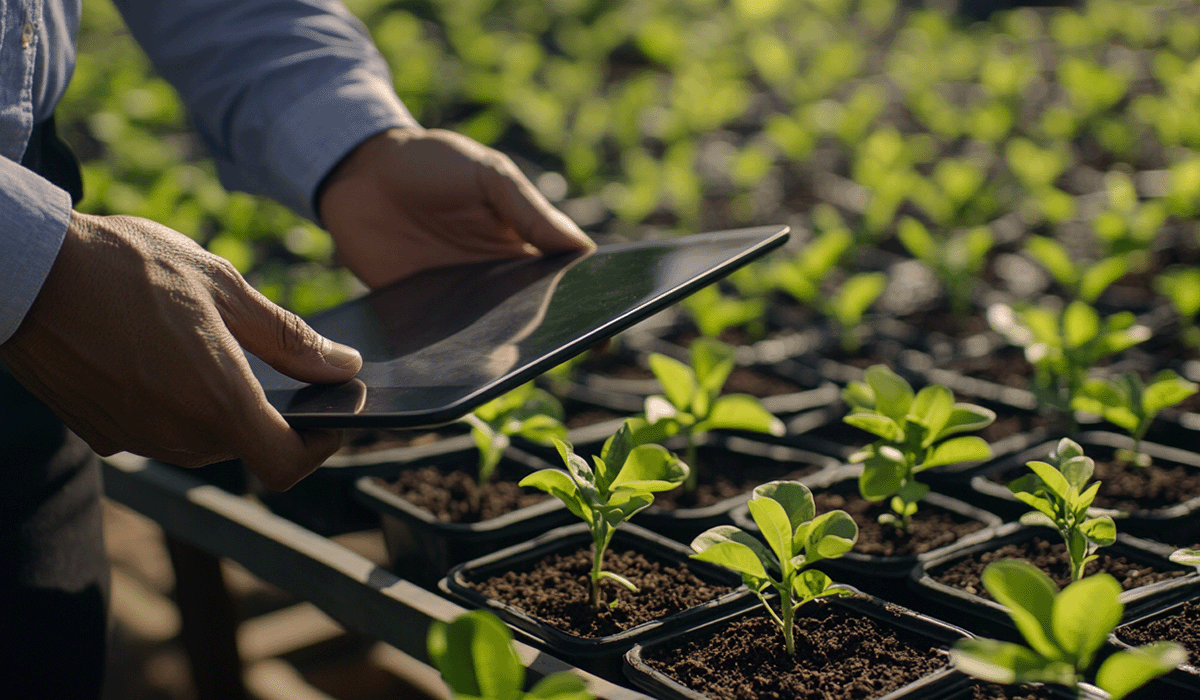 Powering AI responsibly: the role of carbon compensation