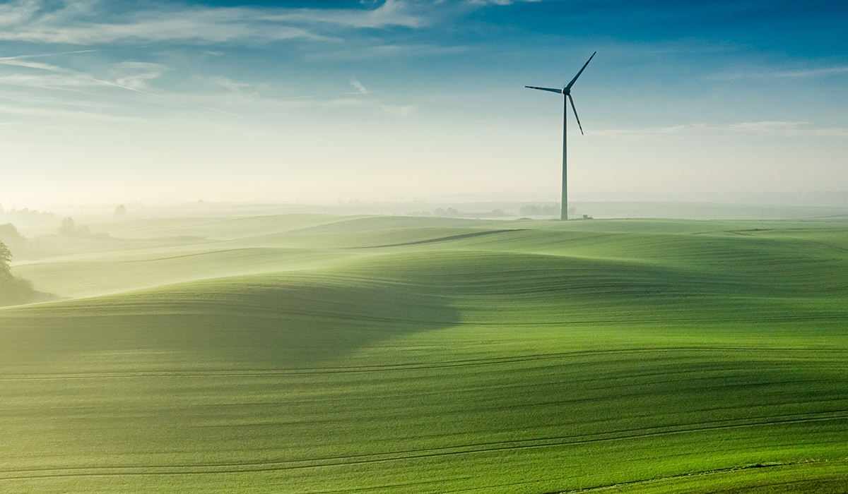 Renewable energy will be the world’s main source of electricity and will supply 90% of the additional demand between now and 2025. Learn more about the future of electricity generation.