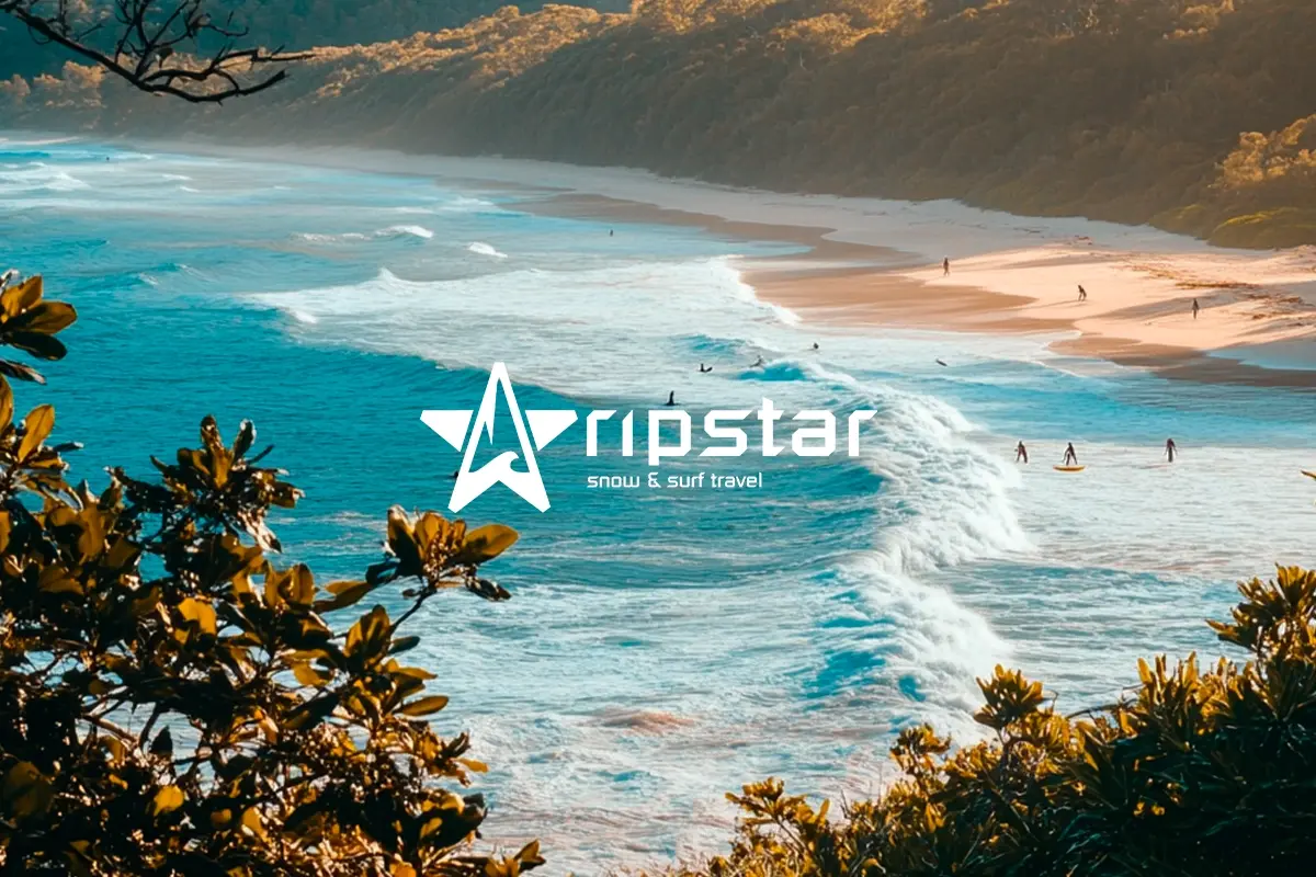 Ripstar case study