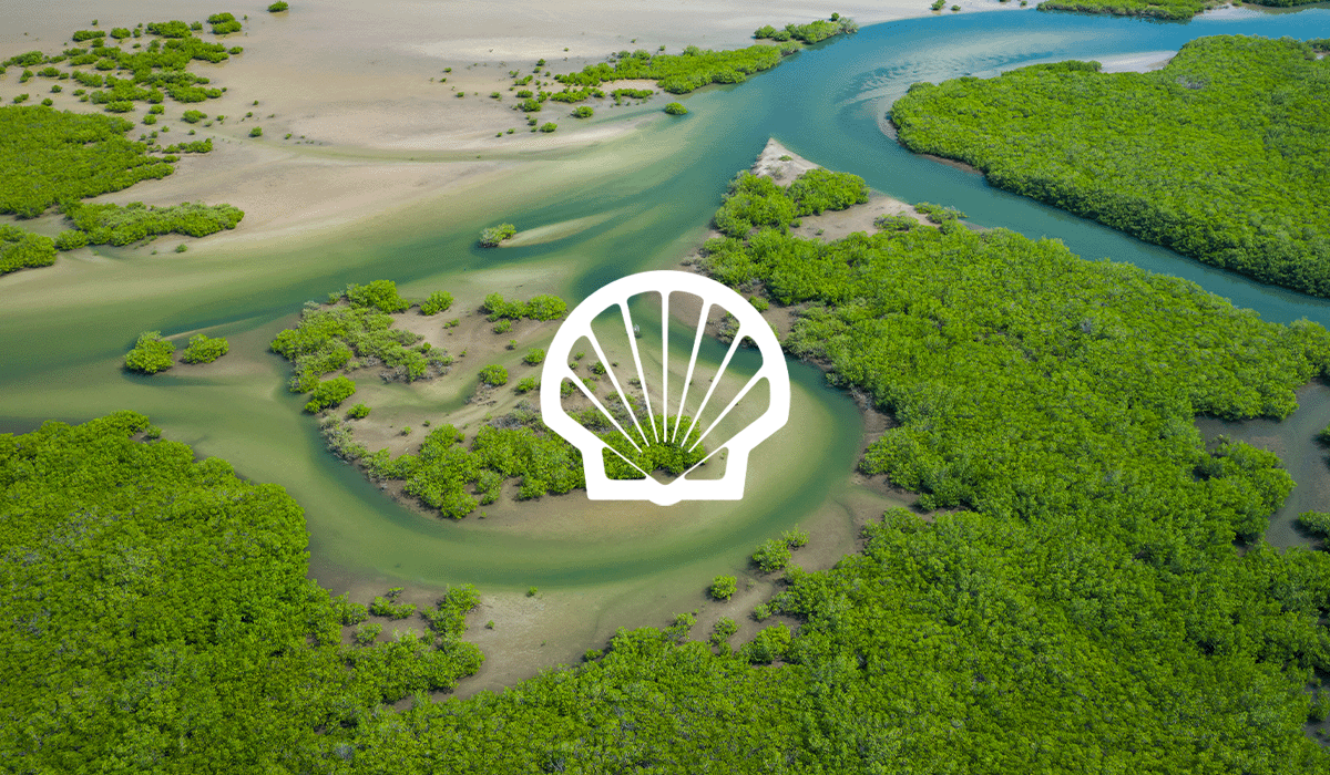 Shell: achieving net zero through nature-based solutions