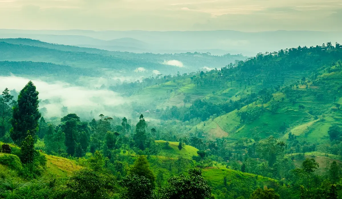 Zweden en Rwanda gaan samenwerken onder Artikel 6 van het akkoord van Parijs