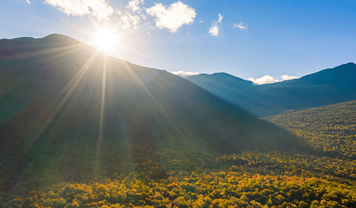 Sylvera secures $57 million in funding to drive carbon trading transparency