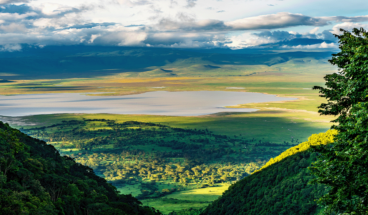 Tanzania receives a game-changing $20 billion investment in carbon offset credits, propelling its sustainable development efforts and fueling Africa's thriving carbon market.